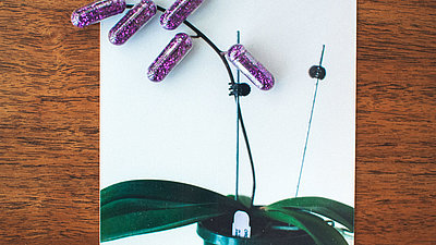 Stilisierte Blume mit Medikamentenkapseln als Blüten auf einem Schreibblock