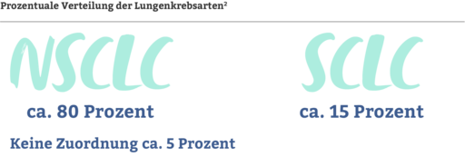 Darstellung der prozentuellen Zahlen von Lungenkrebsarten