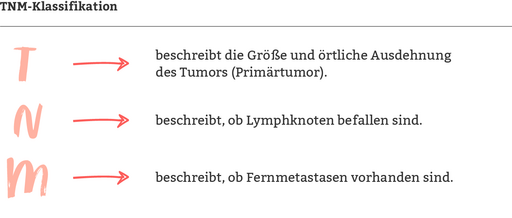 TNM-Klassifikation bei Bauchspeicheldrüsenkrebs: Tumorgröße, Lymphknotenbefall und Fernmetastasen