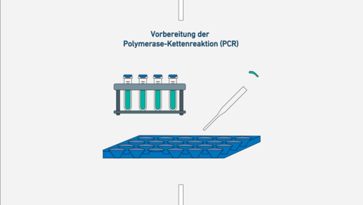 Grafik: Prozess der Molekulardiagnostik und Vorbereitung der PCR