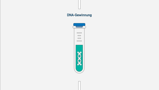 Grafik: Prozess der Molekulardiagnostik und DNA-Gewinnung