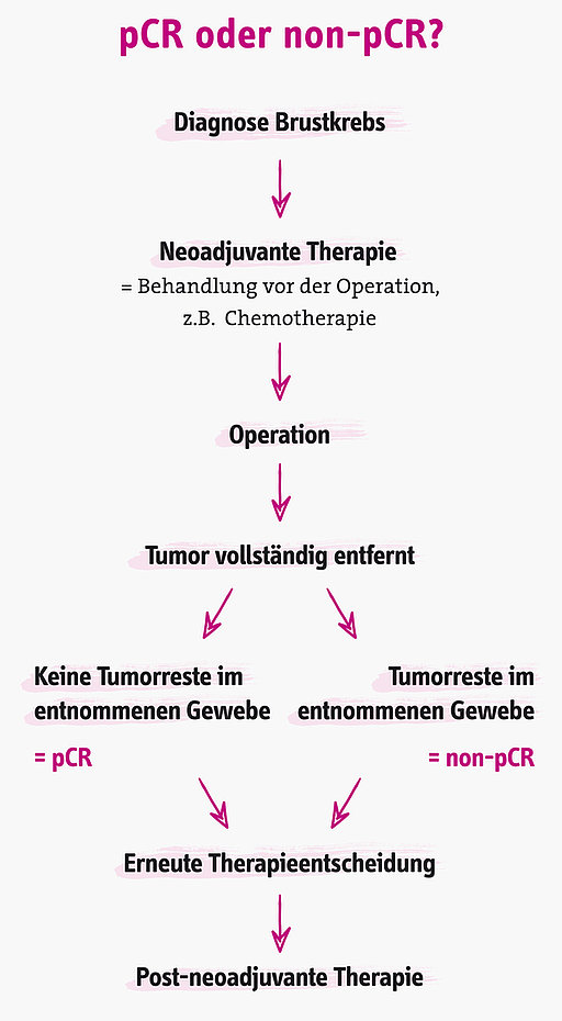 Infografik zur Therapieentscheidung bei HER2-positivem Brustkrebs