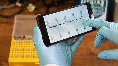 Eine Hand im blauen Gummihandschuh hält ein Smartphone mit dem Bild eines Labortests.