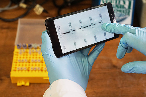 Eine Hand im blauen Gummihandschuh hält ein Smartphone mit dem Bild eines Labortests.