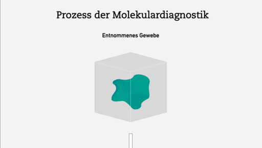 Grafik: Molekulardiagnostik und entnommenes Gewebe