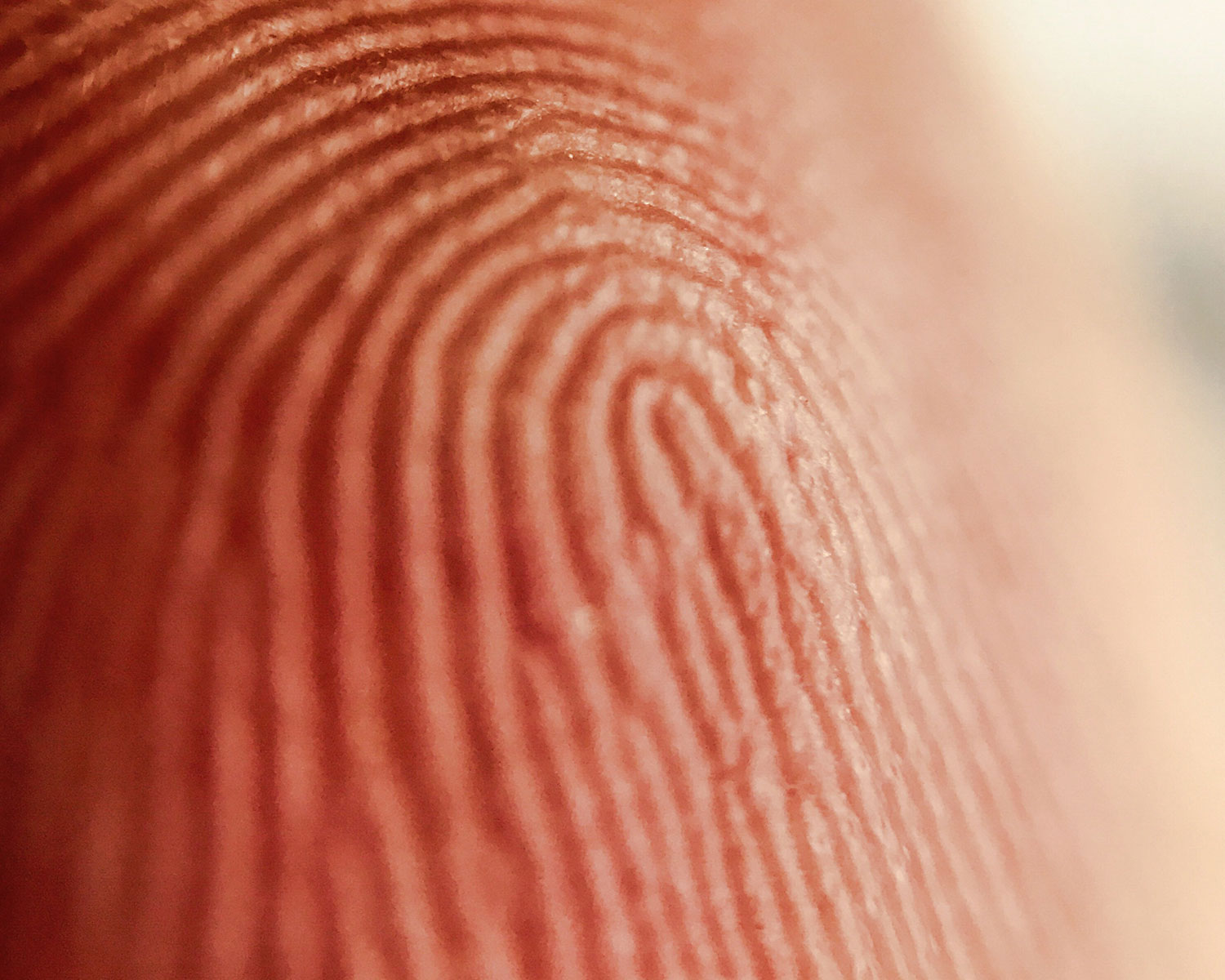 Ein Finger in Nahaufnahme mit sichtbarem Fingerabdruck